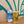 Load image into Gallery viewer, Bemboka | West Coast Pilsner
