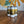 Load image into Gallery viewer, Dollar Store | Lager
