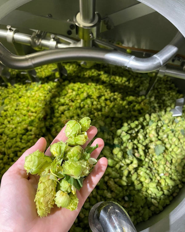 Side Quest |  Wet Hop DIPA