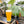 Load image into Gallery viewer, Side Quest |  Wet Hop DIPA
