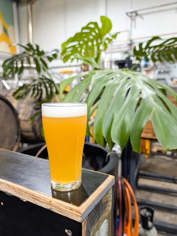Side Quest |  Wet Hop DIPA