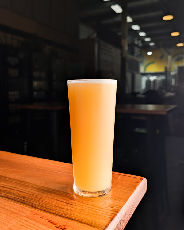 House Rules|  DIPA